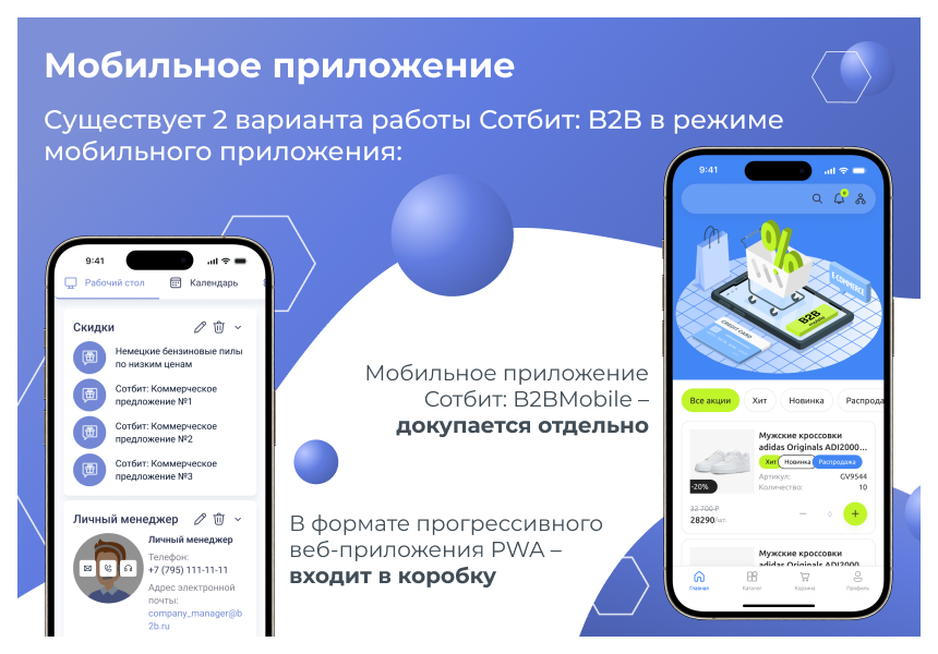 Сотбит: B2B портал Pro