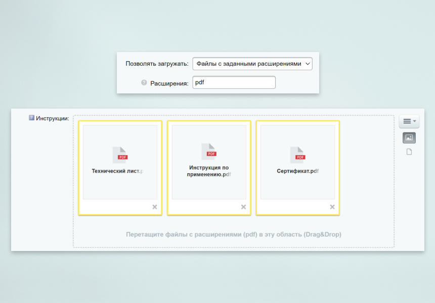 INRAISE: Файл/Картинка. Пользовательское свойство