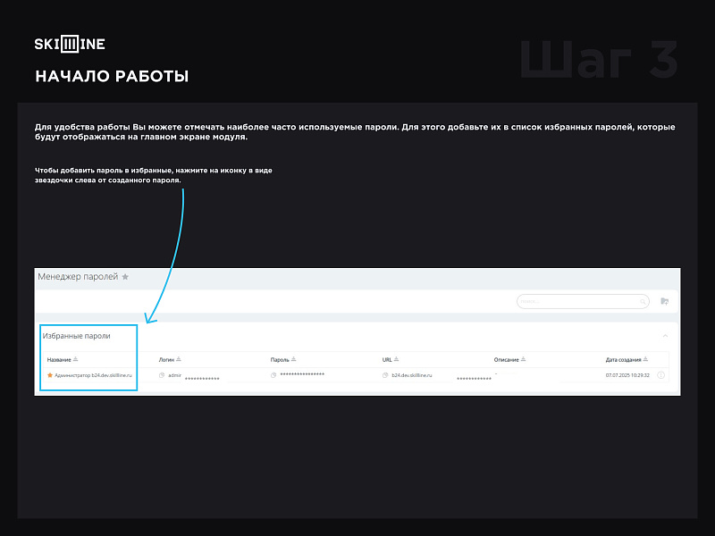 Skillline - менеджер паролей