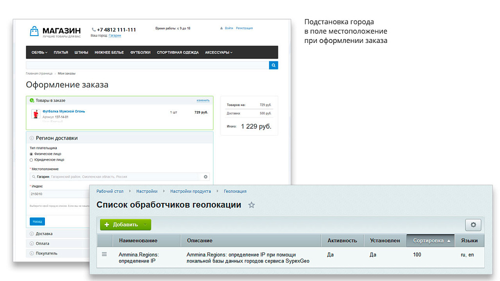 Ammina. Регионы (филиалы и представительства). Мультирегиональность на доменах и URL адресах