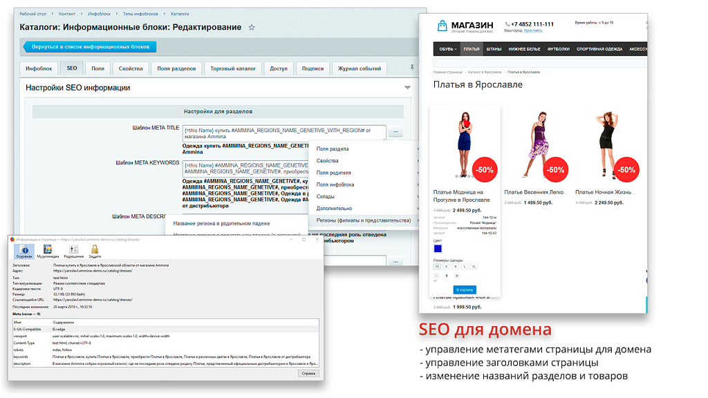 Ammina. Регионы (филиалы и представительства). Мультирегиональность на доменах и URL адресах