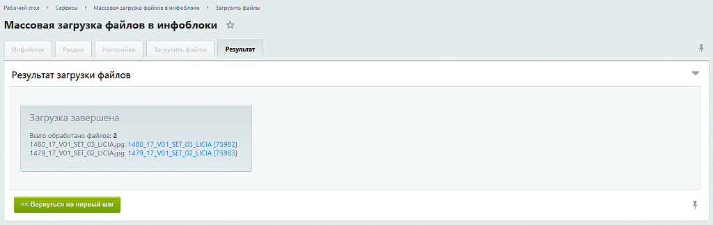 Массовая, множественная загрузка файлов, изображений и документов в инфоблоки с созданием элементов