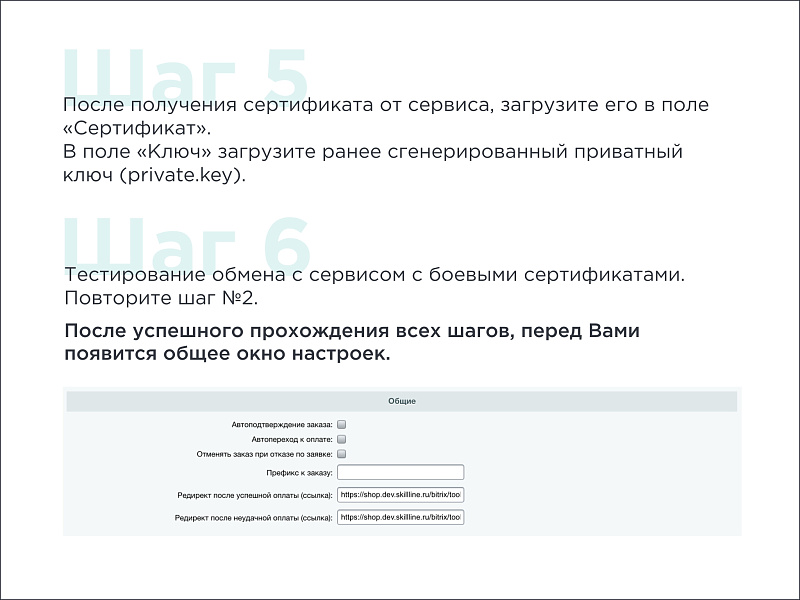 Skillline | BNPL-модуль для интеграции сервиса "Подели"