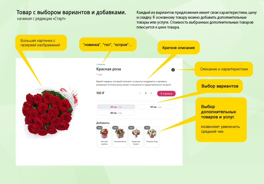 Магазин цветов и подарков, начиная со Старта. Flora Shop